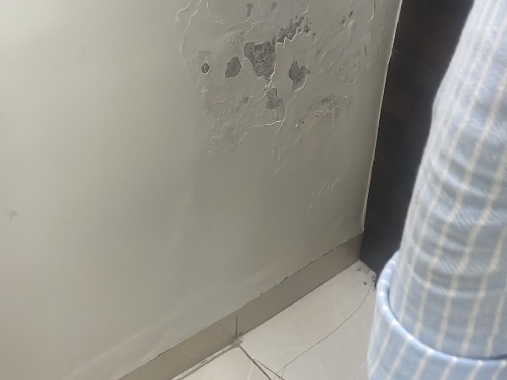 Structural Repairs Services in Kurla, Mumbai