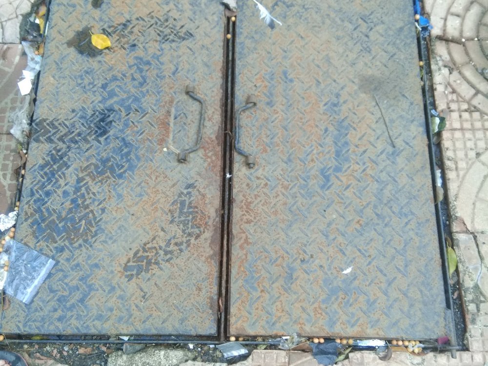 Terrace Waterproofing Services in Worli, Mumbai