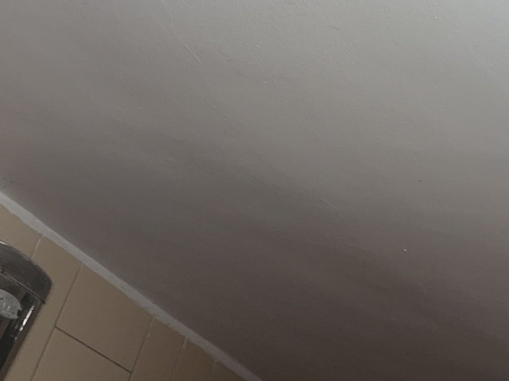 Terrace Waterproofing Services in Virar, Mumbai