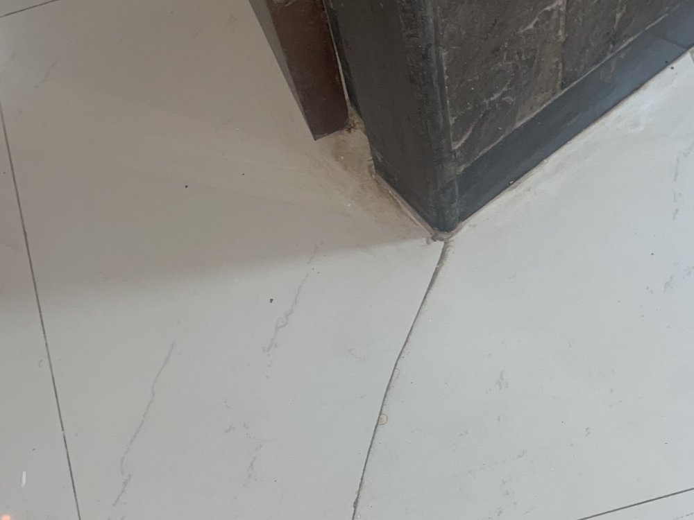 Terrace Waterproofing Services in Khar, Mumbai