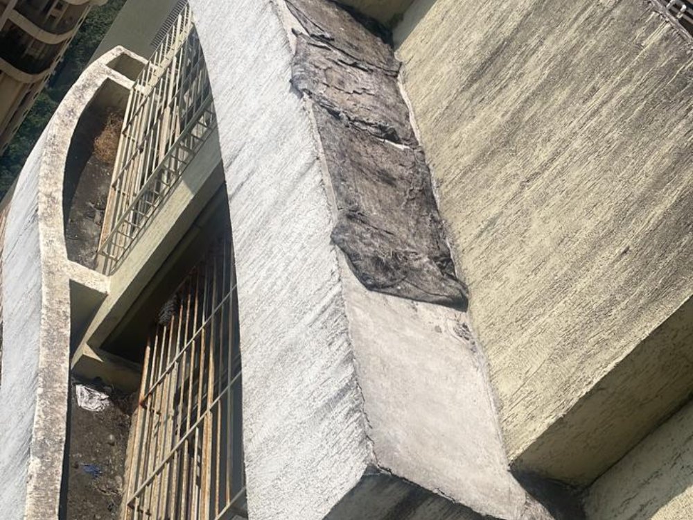 Exterior Painting Services in Worli, Mumbai